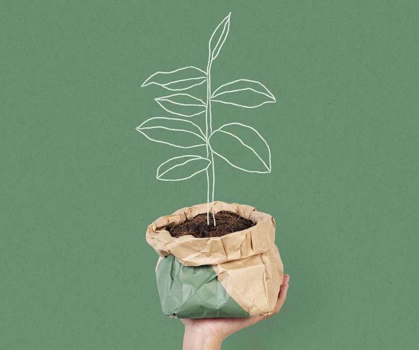 Illustration de l'Atelier avec une main tenant une plante en pot emballée dans du papier kraft et une plante dessinée en traits crayonnés blancs